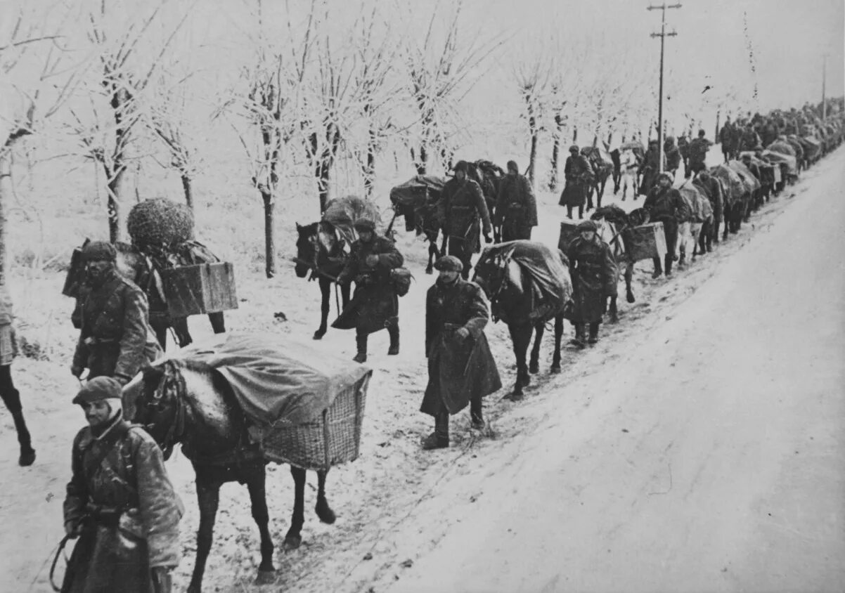Лошади во время войны. Румынская кавалерия 1941-1945. Румыния 1941 год. Румынские кавалеристы во2 мир войне.