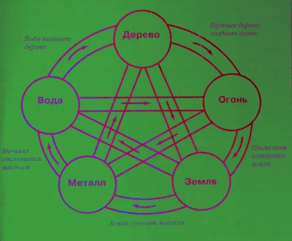 Круг 5 элементов. Дерево огонь земля металл вода. Огонь вода земля воздух дерево металл. Земля вода огонь воздух дерево. Стихия дерево вода огонь.