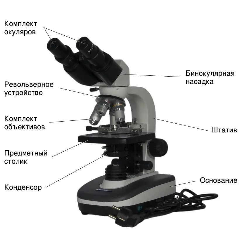 Какую функцию выполняет револьвер в микроскопе. Микроскоп бинокулярный Биомед 4 led. Оптический микроскоп Биомед 6 led. Микроскоп Биомед 5(бинокулярный). Микроскоп Биомед бинокулярный.