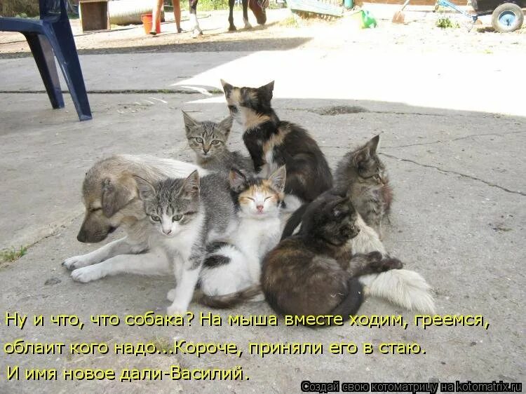 По другому не бывает
