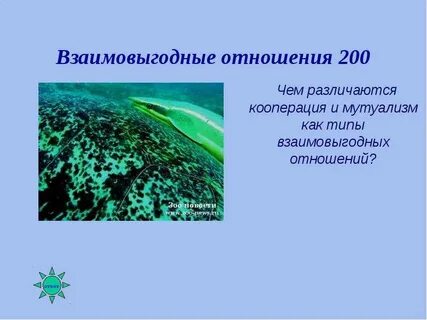 Вид взаимовыгодных отношений