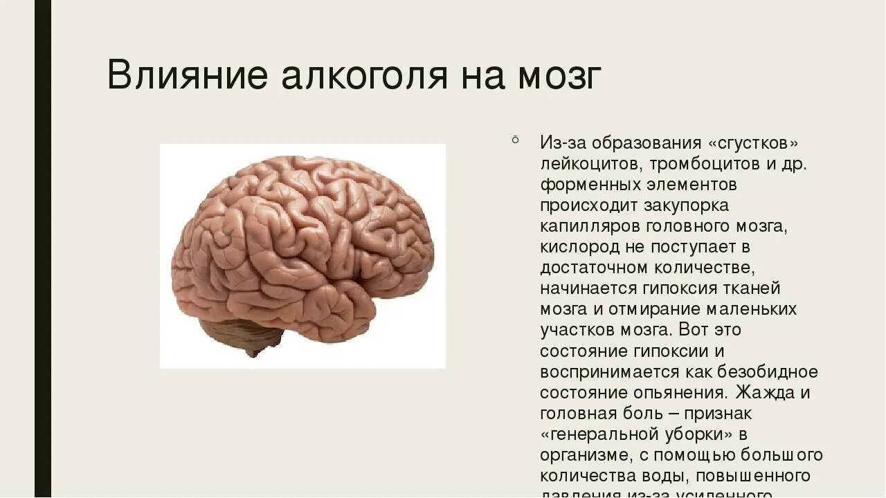 Факторы влияющие на мозг