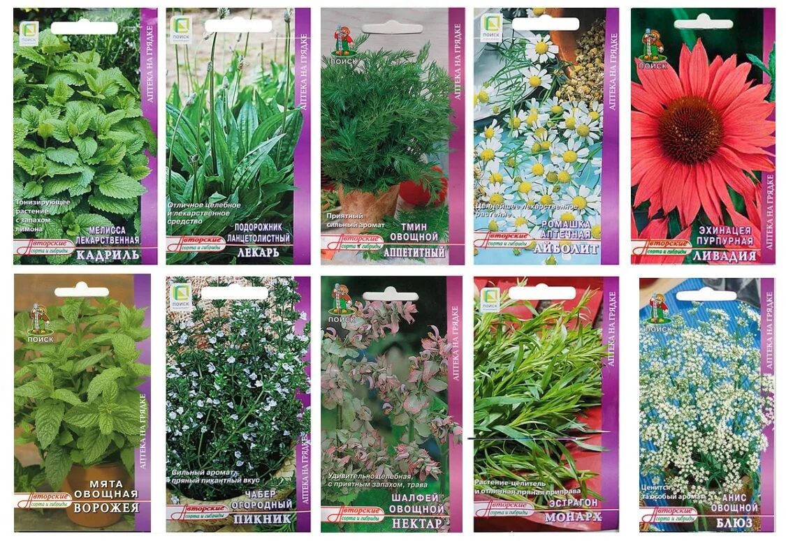 Авито семена трав. Семена лекарственных растений. лекарственные сорта растений. семена цветов. аптечные растения.