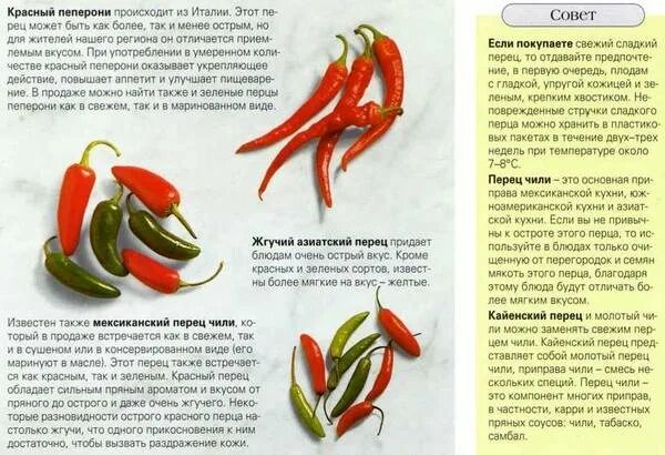 Сколько можно собрать перца. Перец острый свежий. Стручков острого перца. Перец красный острый стручок. Перец Чили свежий.