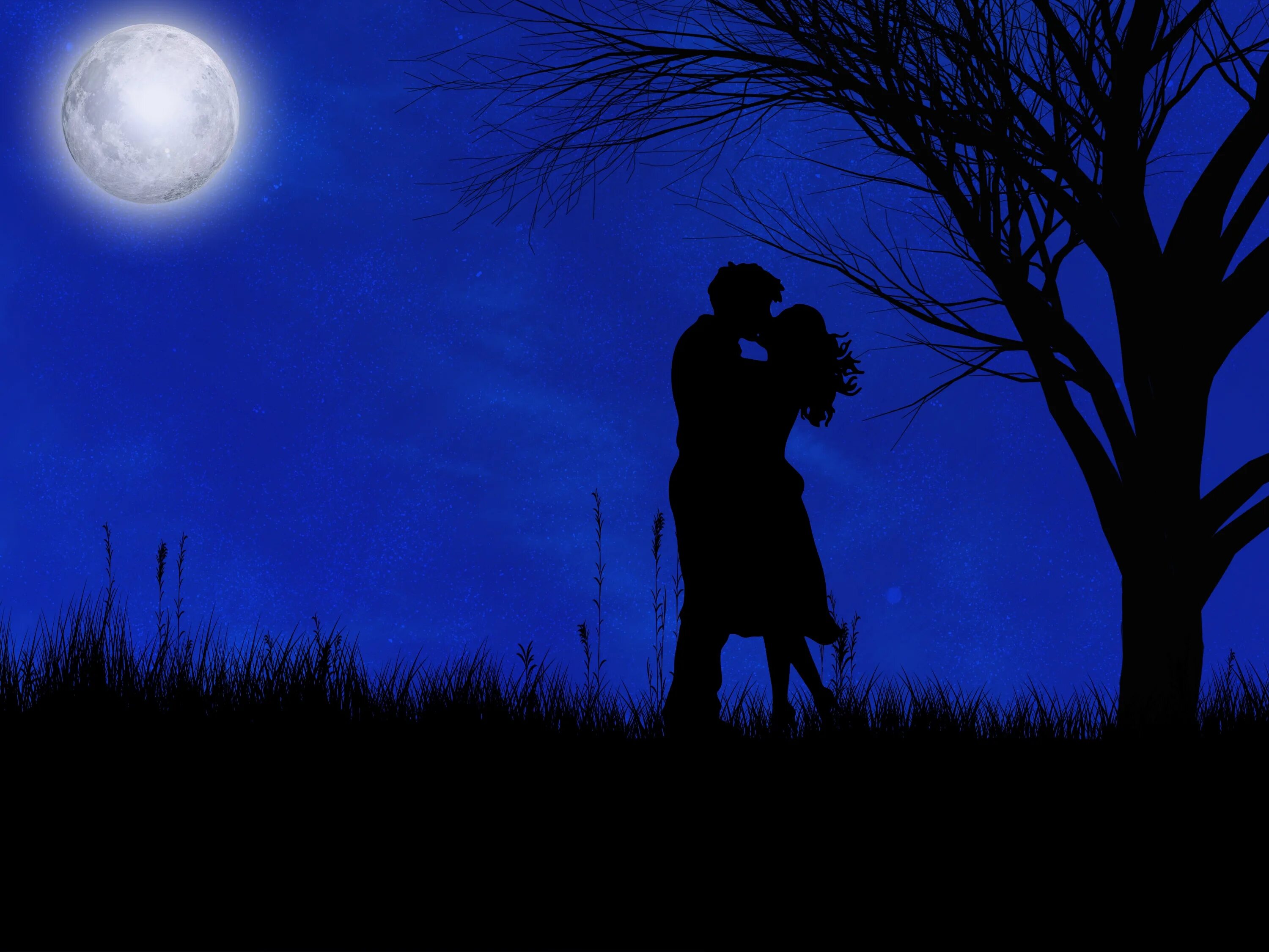 Она клялась под луной я не придам. Ночь любви. Парень и девушка под луной. Пара под луной. Свидание под луной.