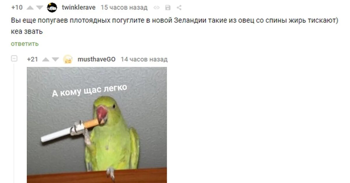 Мышь а кому щас легко. А кому сейчас легко. А кому легко мем. А кому сейчас легко картинки. А кому щас легко.