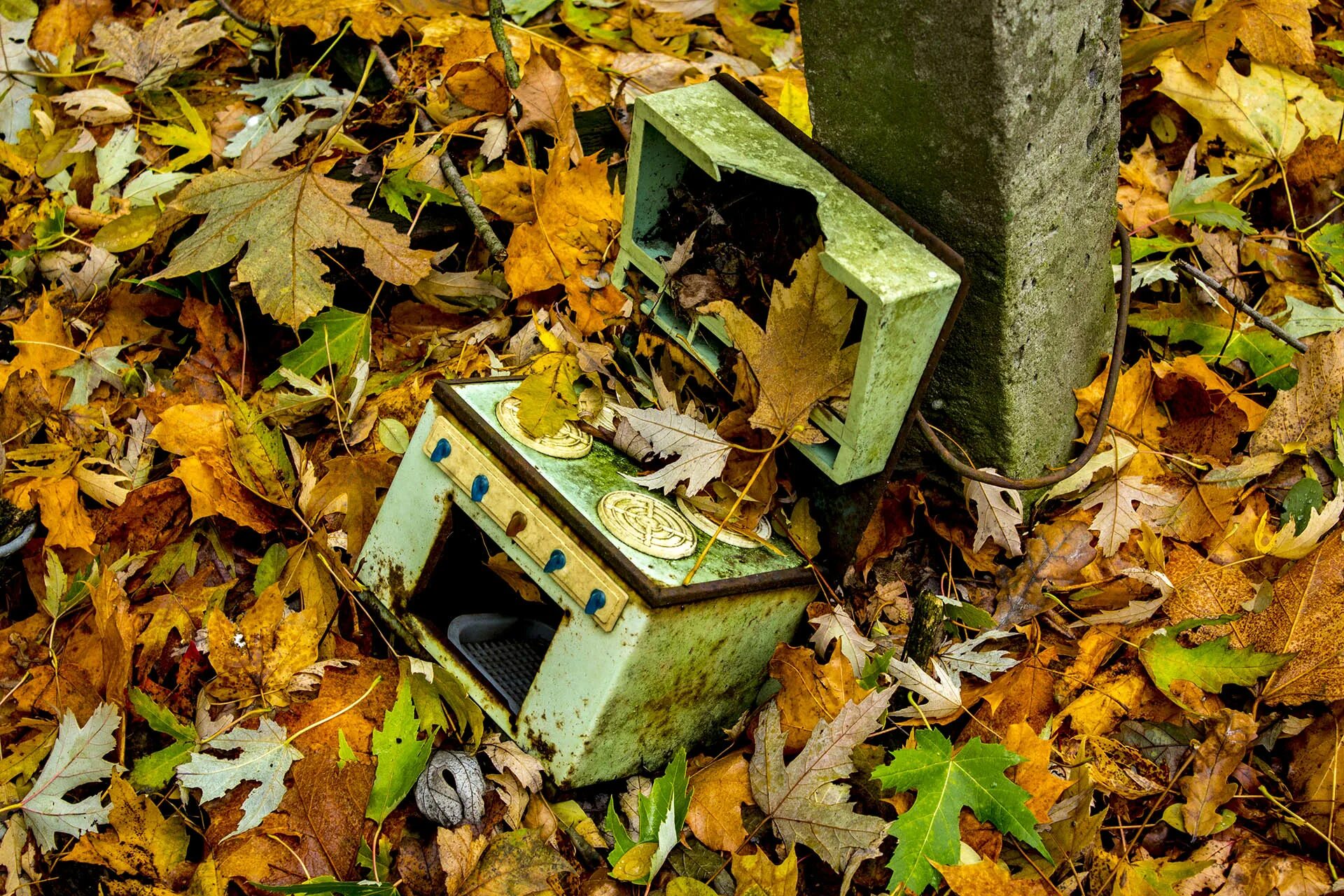 Припять разруха. Город припять 2022. Чем отличается чернобыль и припять. Чернобыль сейчас 2021. Чернобыль зона отчуждения город припять.