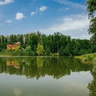 Воронеж береговое