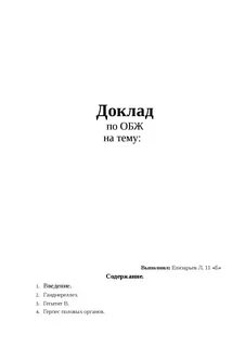Образец реферата по обж
