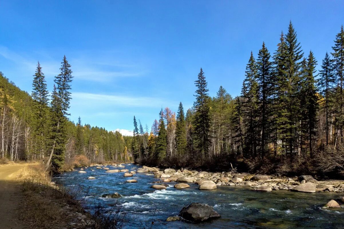 Сибирь тайга и река. Тайга канады. Уссурийская тайга горная речка. Тайга северного урала. Таежные реки горные реки.
