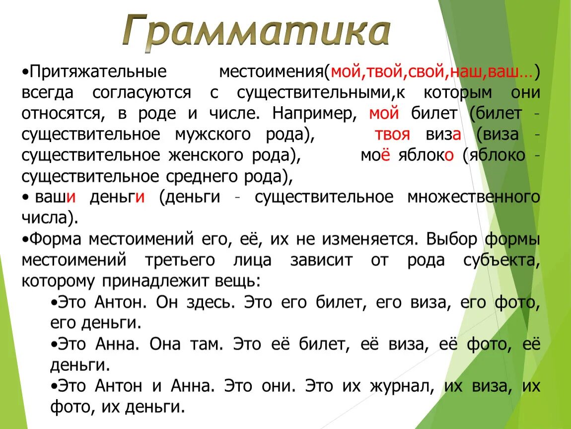 На что указывают притяжательные местоимения. Мой твой местоимения. Притяжательное предложение с местоимением их. Притяжательные местоимения. Мой притяжательное местоимение.