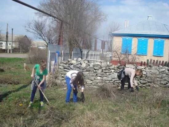 мбоу алексеево лозовская сош