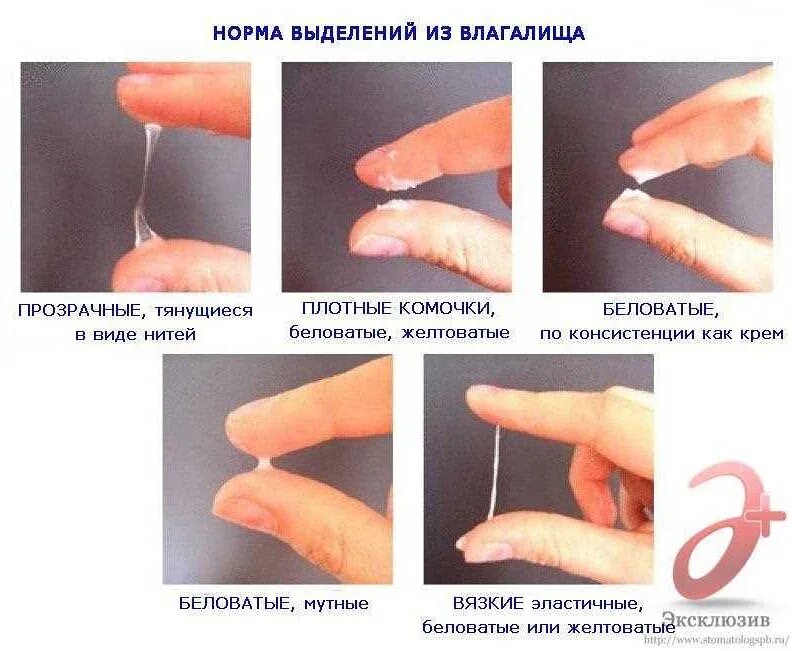 Допускается ли во время