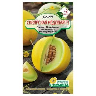 Дыня сибирская медовая