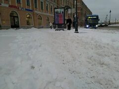 Накануне во второй половине дня в Петербурге пошел снег. Читайте на "Фонтанке" Фонтанка.ру Дзен