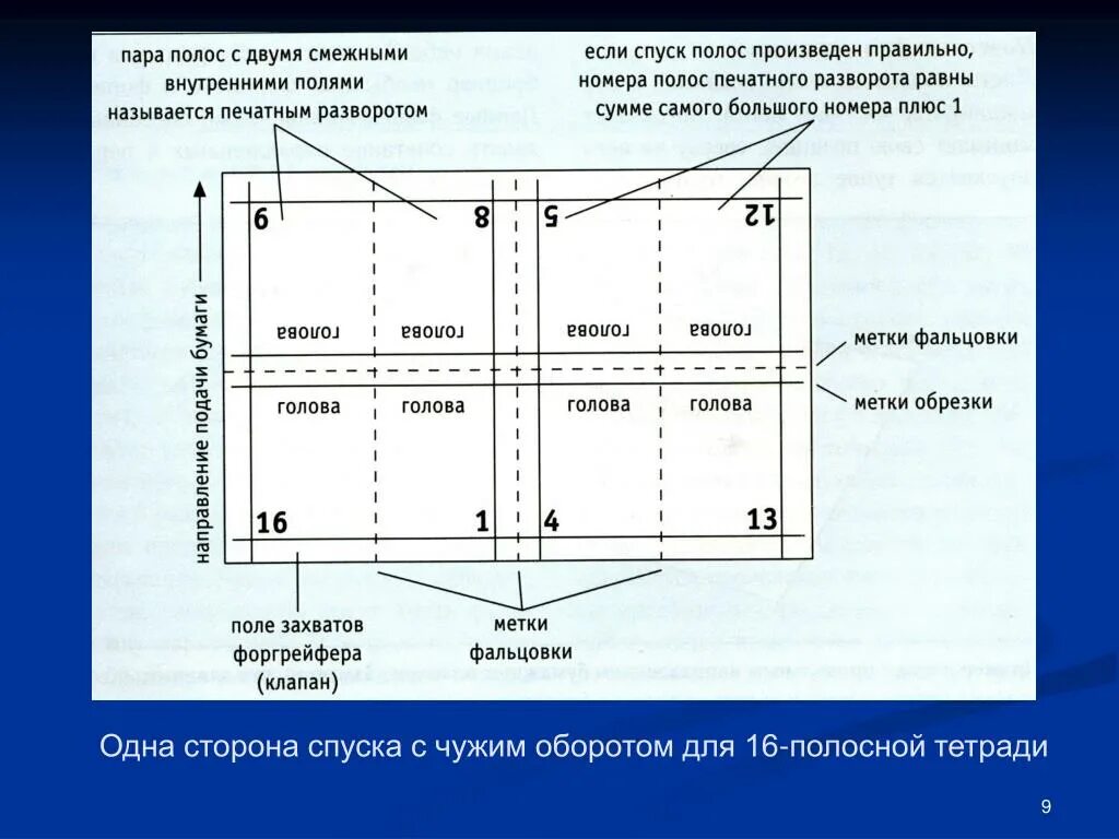 Спуск полос в полиграфии что это. Схема спуска полос. Раскладка полос на печатном листе. Альбомный спуск полос.