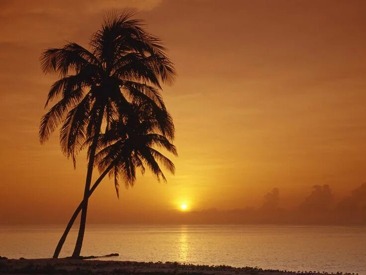 Sunset x vibes