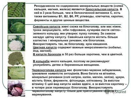 В какое время есть капусту