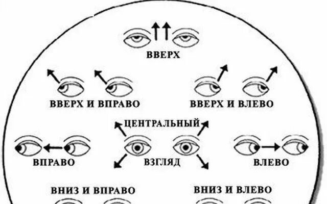 Взгляд вправо вверх. Направление взгляда человека. Глаза вправо вверх при разговоре. Глаза влево вверх при разговоре. Смотрит вправо вниз