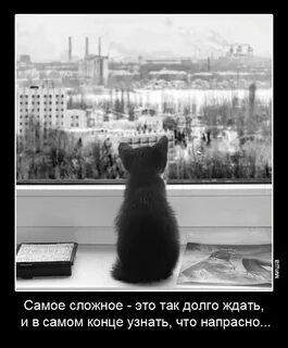 Не было смысла больше ждать