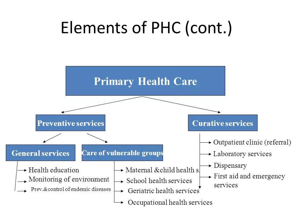 Primaries can be. Primary Health Care. Patient Education in Primary Health Care. Care принцип. Primary Care structure.