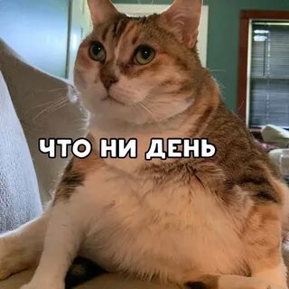 Такие дела фото