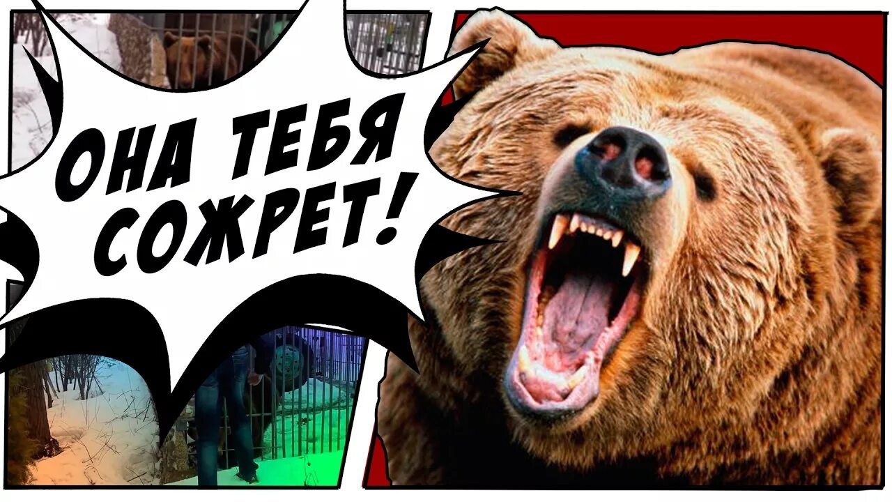 Ладно не лезь. Она тебя сожрет. не лезь оно тебя сожрет. она тебя сожрет дебил. не лезь сожрет.