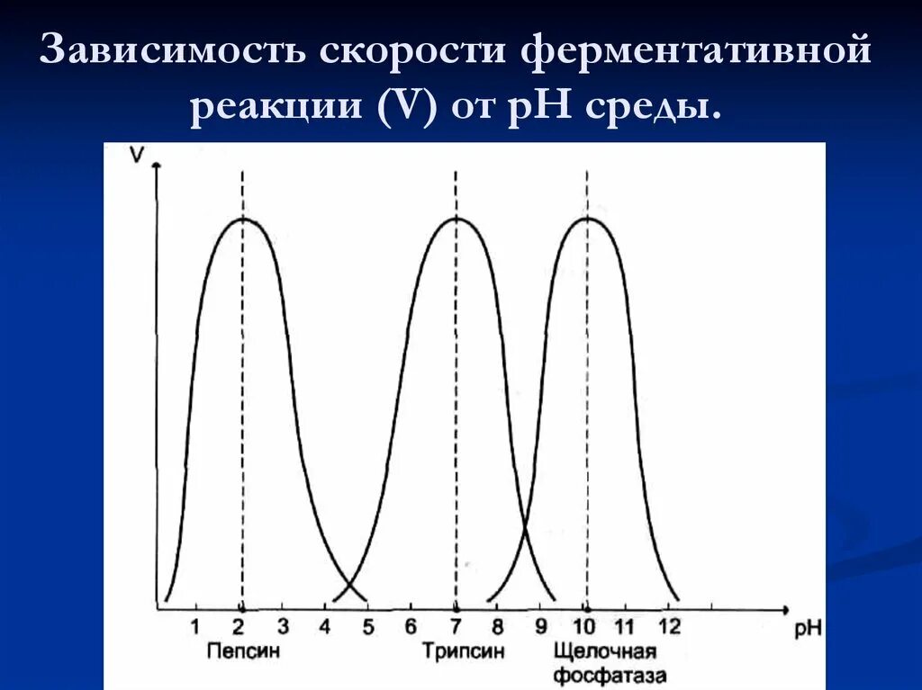 Зависимость скорости ферментативных реакций от температуры РН среды. Зависимость скорости ферментативной реакции от температуры среды. Зависимость скорости ферментативной реакции от PH среды. График зависимости скорости ферментативной реакции от температуры. График зависимости фермента от температуры