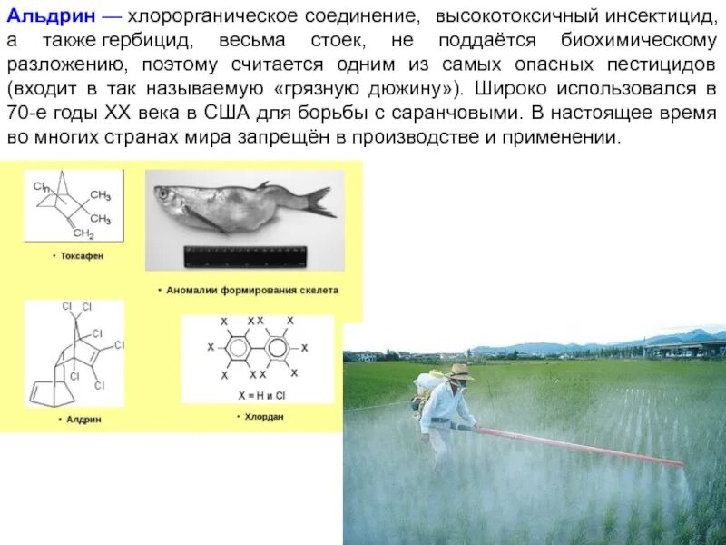 Пестициды формула химическая. Инсектицид Альдрин. Хлорорганические пестициды формулы. Альдрин пестицид.