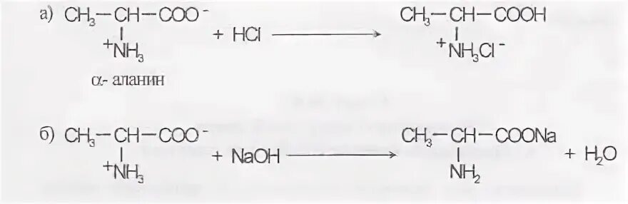 Амфотерность аланина. Амфотерные свойства аланина реакции. Реакция доказательства амфотерности аминокислот. Реакции доказывающие Амфотерность аланина. Аланин проявляет амфотерные свойства