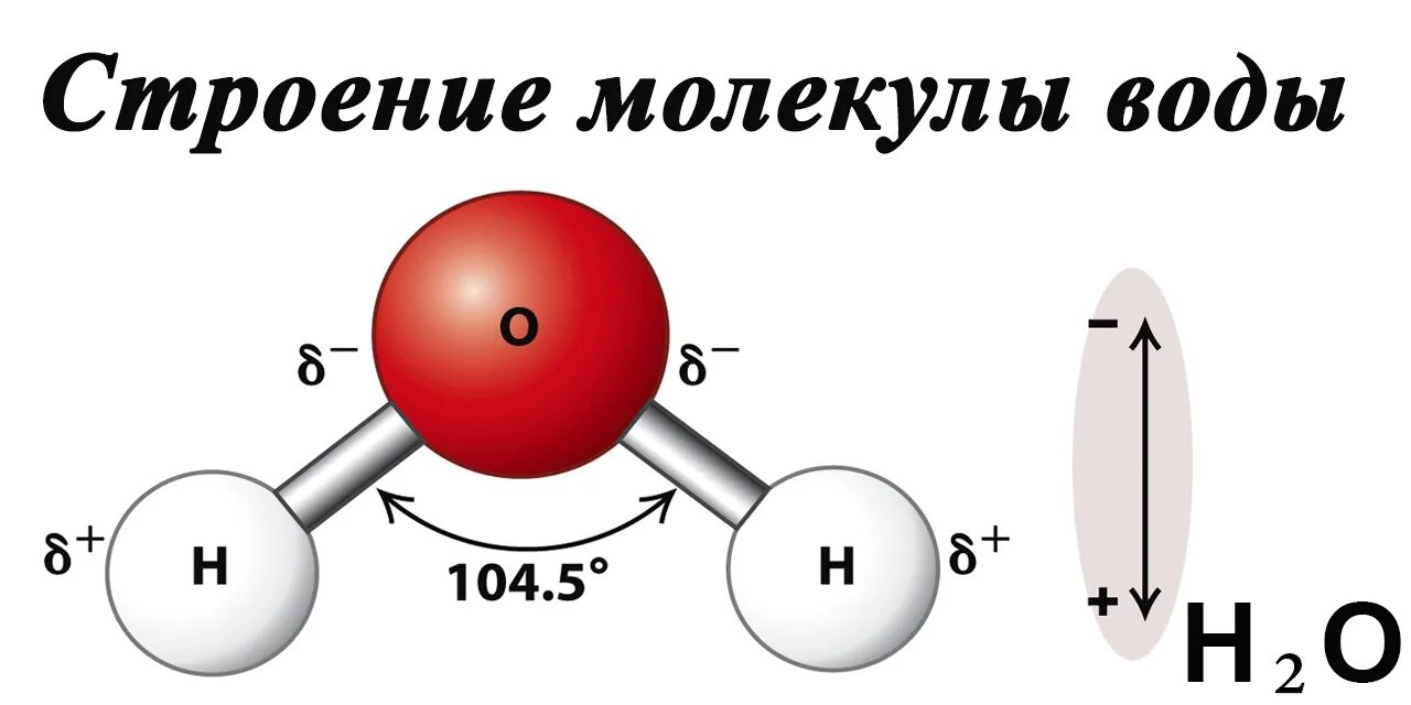 Строение формулы воды. Дипольный момент молекулы воды. Строение молекулы воды диполь. Молекула воды диполь. Структура воды диполь.