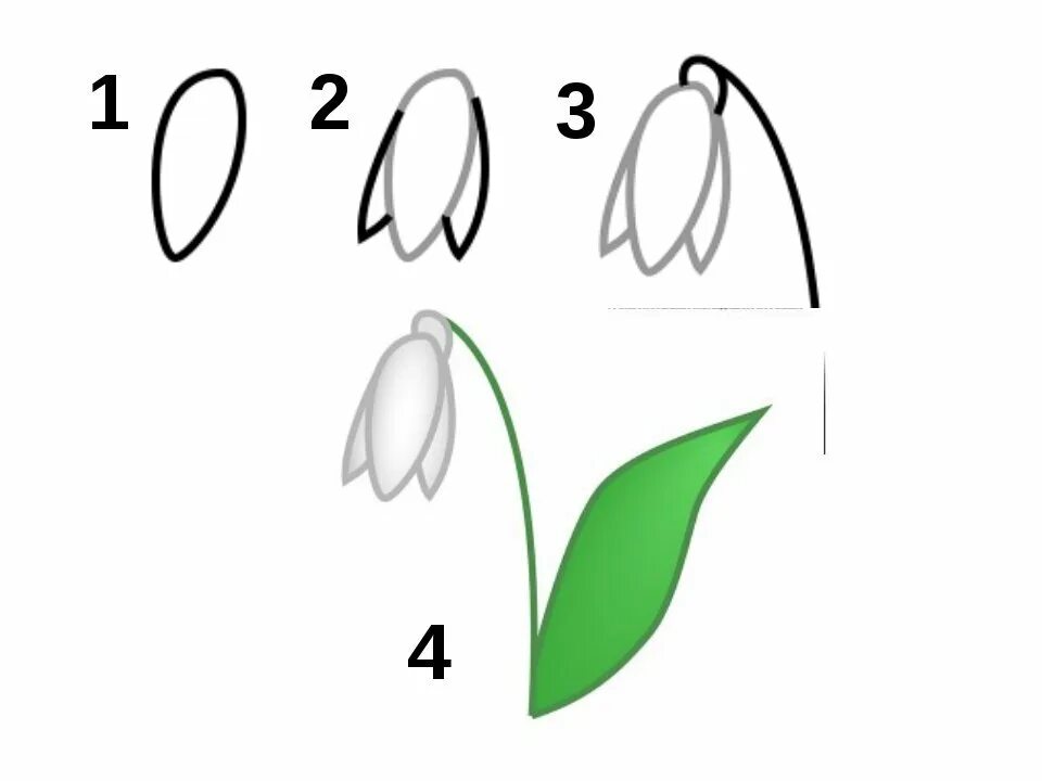 Подснежники рисунок. Пошаговое рисование подснежника. Поэтапное рисование подснежника. Подснежник для дошкольников. Рисование подснежника поэтапно 1 класс
