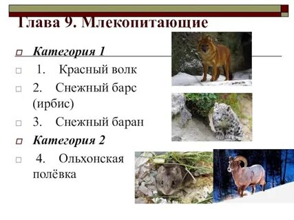 Категории млекопитающие