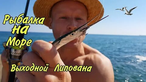 Одесский липован видео