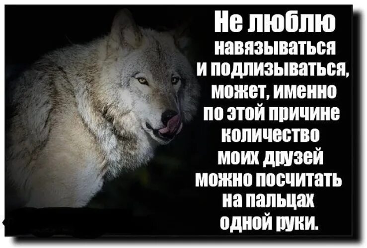 Может быть именно поэтому