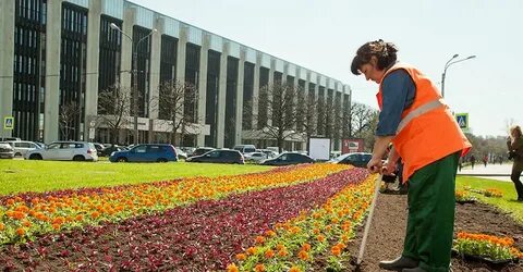 Спб городского хозяйства