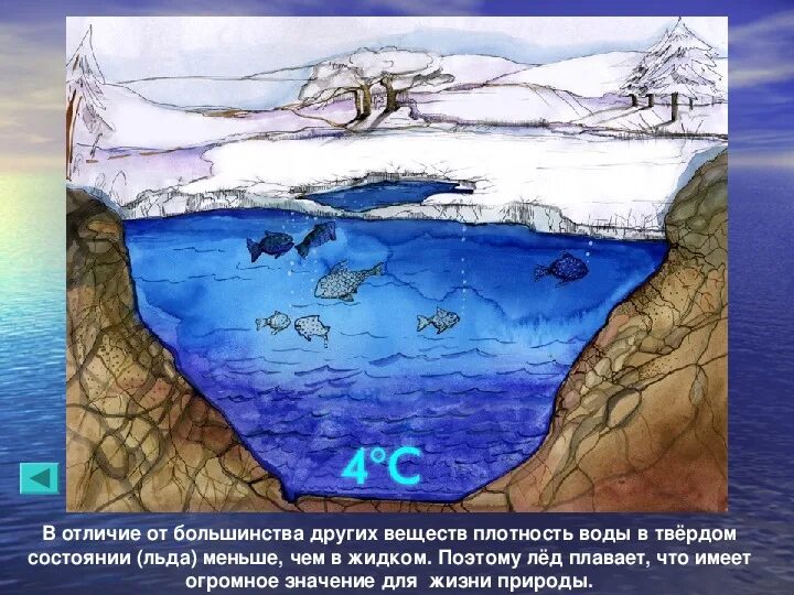Почему вода подо льдом не замерзает. Озеро подо льдом. вода в пруду. река подо льдом. рыбы зимой подо льдом.