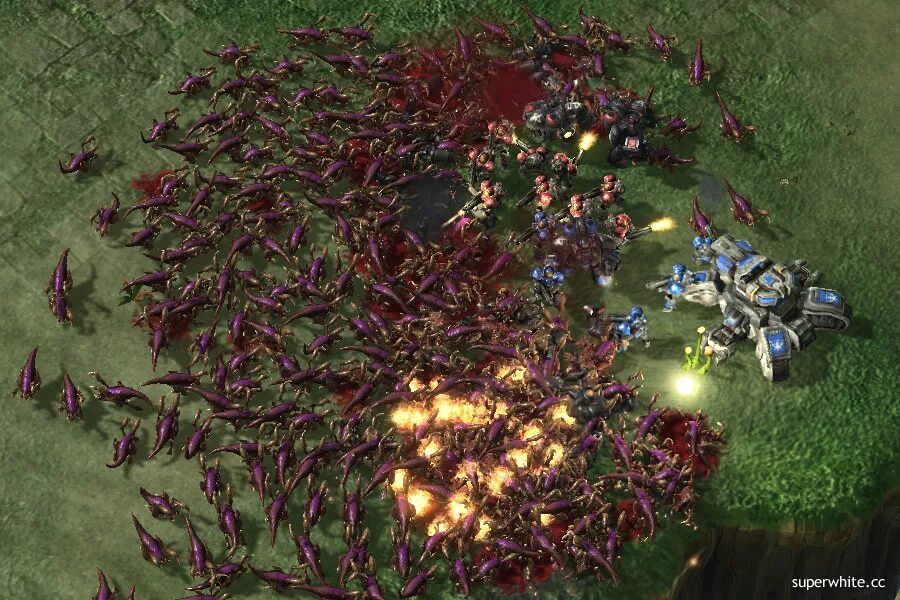 Zerg rush