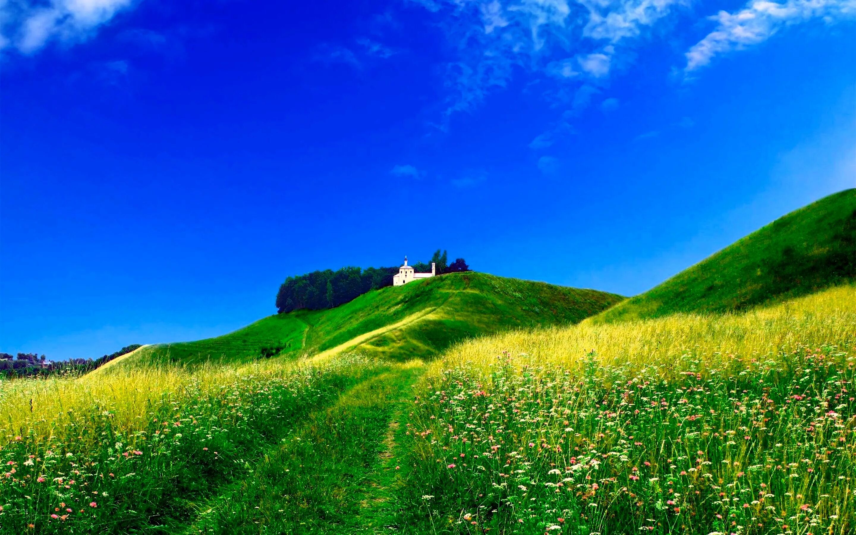 Луг зеленый стихотворение. Green Hills зеленые холмы. Зеленая природа. Зеленые Луга. Зеленый пейзаж.