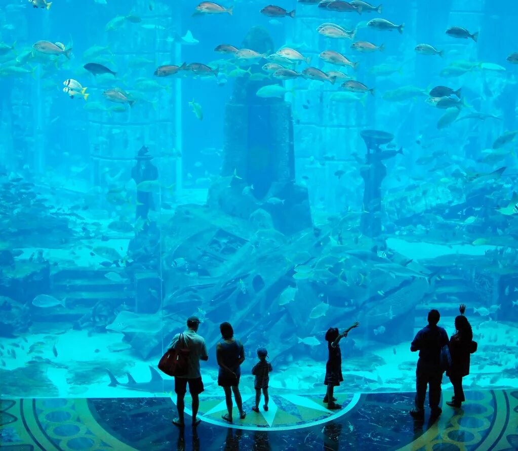 Океанариум Атлантис Дубай. Atlantis Dubai аквариум. Отель Атлантис Дубай океанариум. Atlantis the Palm аквариум.