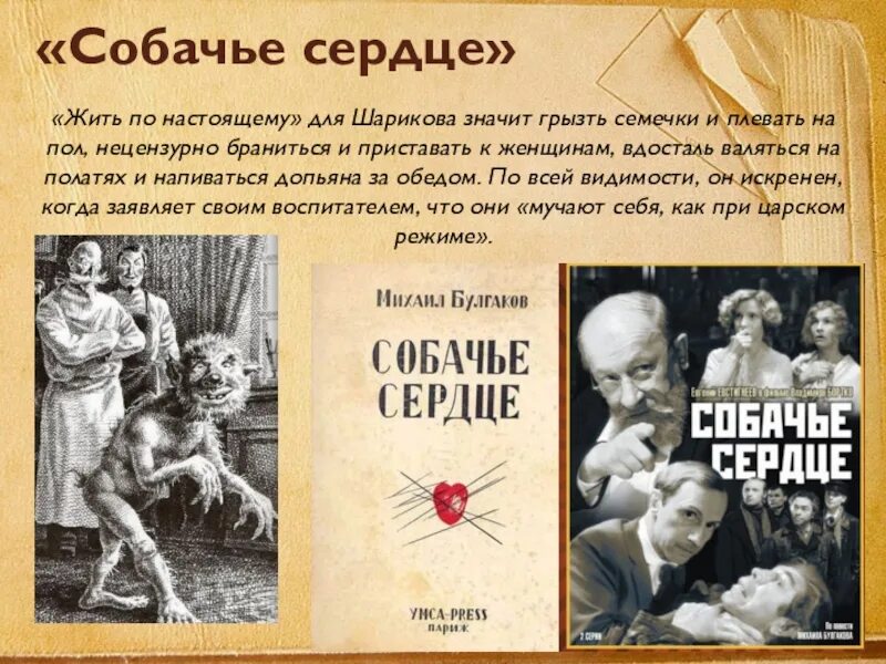 Собачье сердце о ком. Собачье сердце. Булгаков Собачье сердце. Собачье сердце иллюстрации.