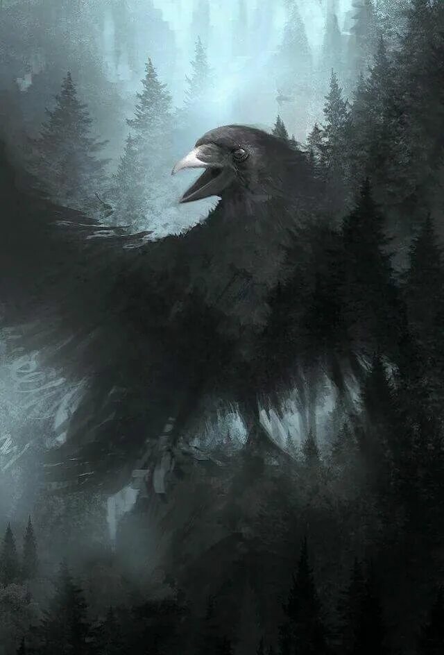 Зловещая птица. Мрачный ворон. Мистический ворон. Мрачный лес с воронами.