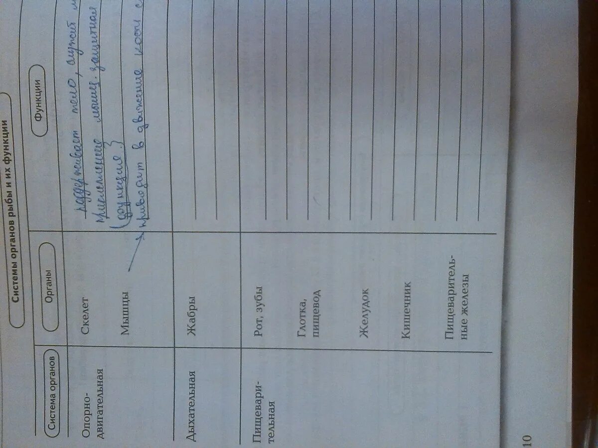 Системы органов рыб и их функции таблица. Таблица по биологии 7 внутреннее строение рыб. Отряды костных рыб таблица. Пищеварительная система у рыб 7 класс таблица. Системы органов рыб таблица 8 класс биология.