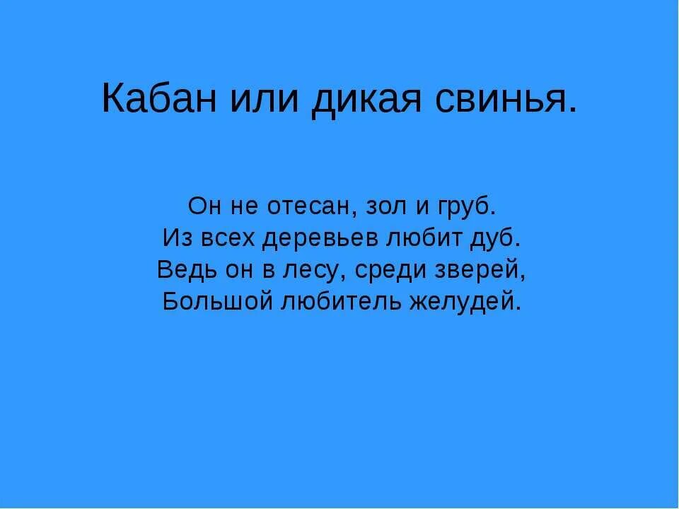 Загадка про кабана. Загадка про кабана для детей. Загадки про Кабанов. Загадки про кабана 4 класс. Стихи детские про кабана.