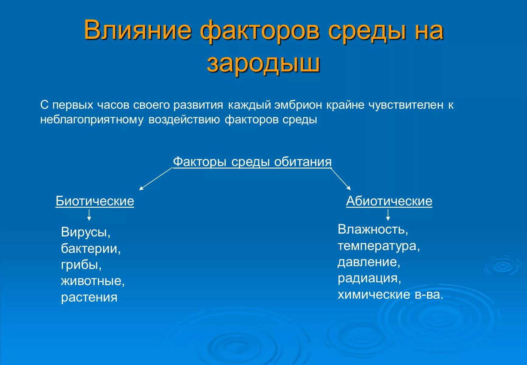 Влияние факторов внешней среды на онтогенез