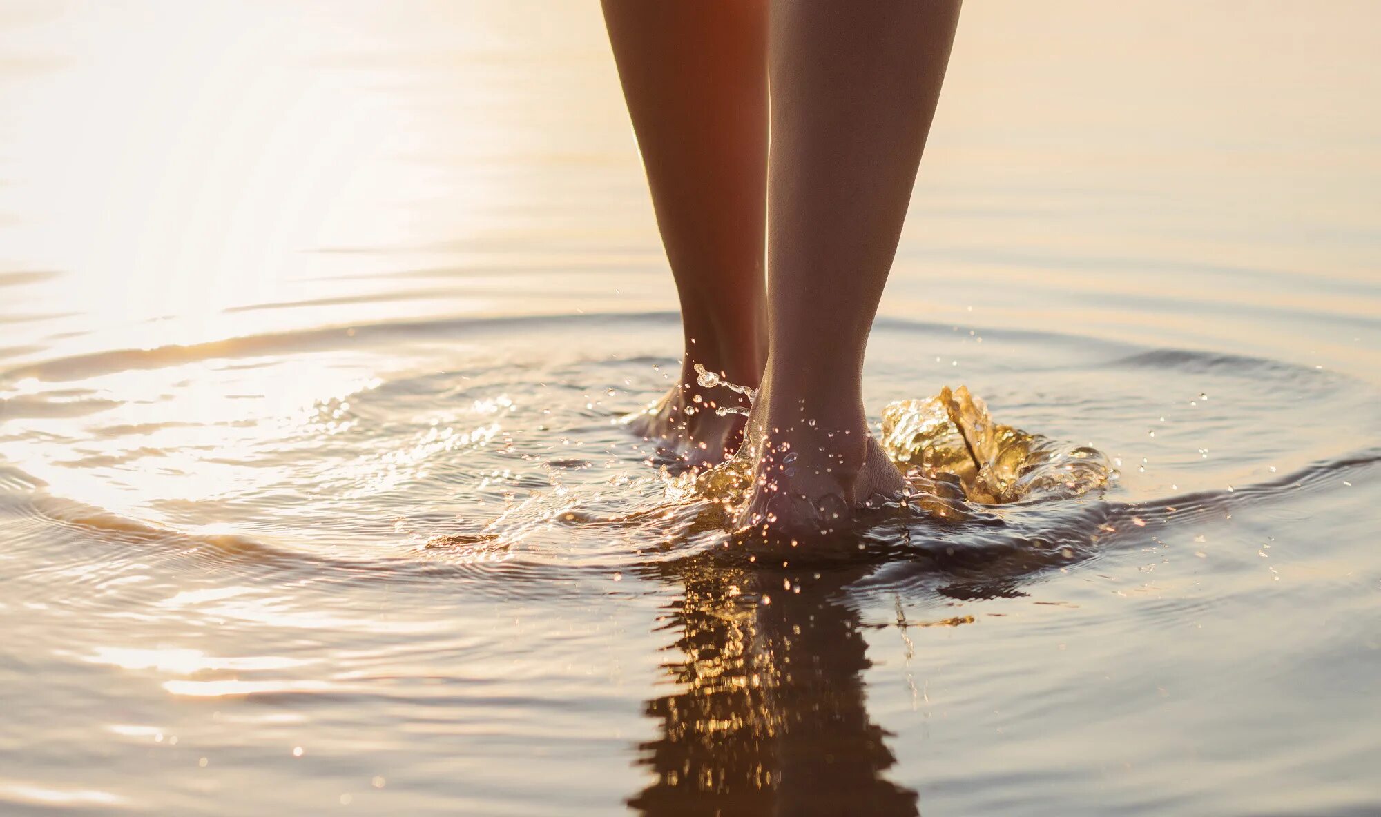 Дерево ногами в воде. Ноги по щиколотку в воде. Босиком по воде. Босиком в воде. Ноги идут по воде.