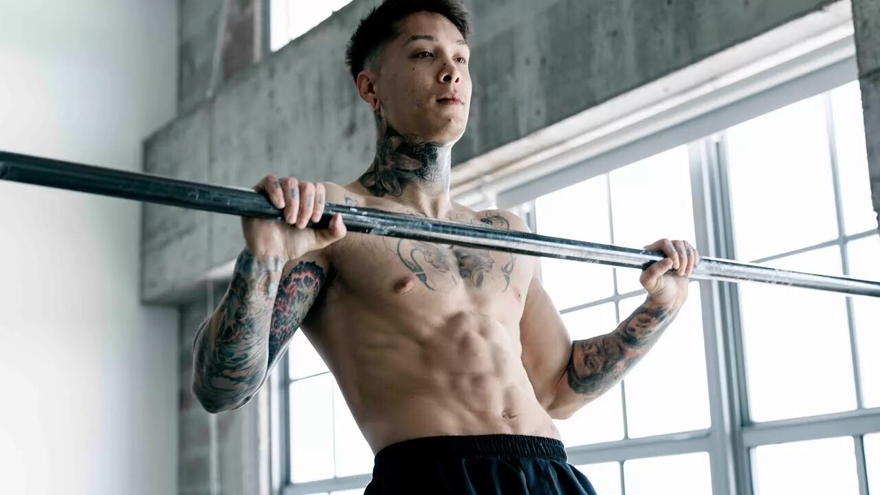Calisthenics playbook for push pull squat. Calisthenics playbook for push pull squat