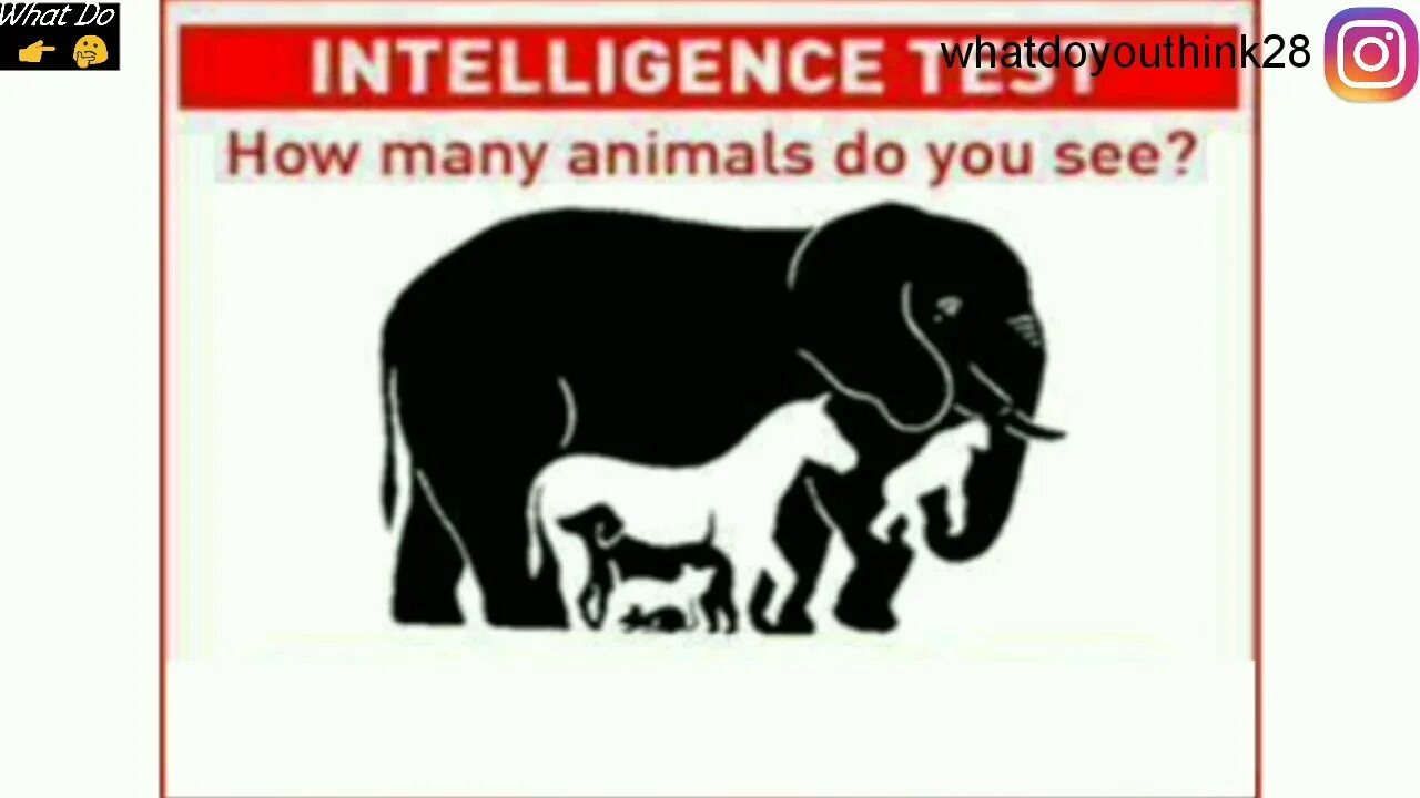 How many animals do you see. How many animals can you see. How many animals Cardsr.