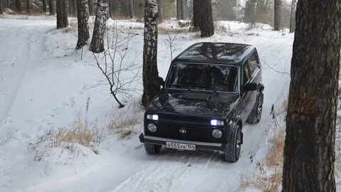 Какая хорошая зимняя на ниву