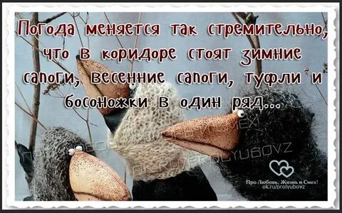 Картинки про холодный май с надписями
